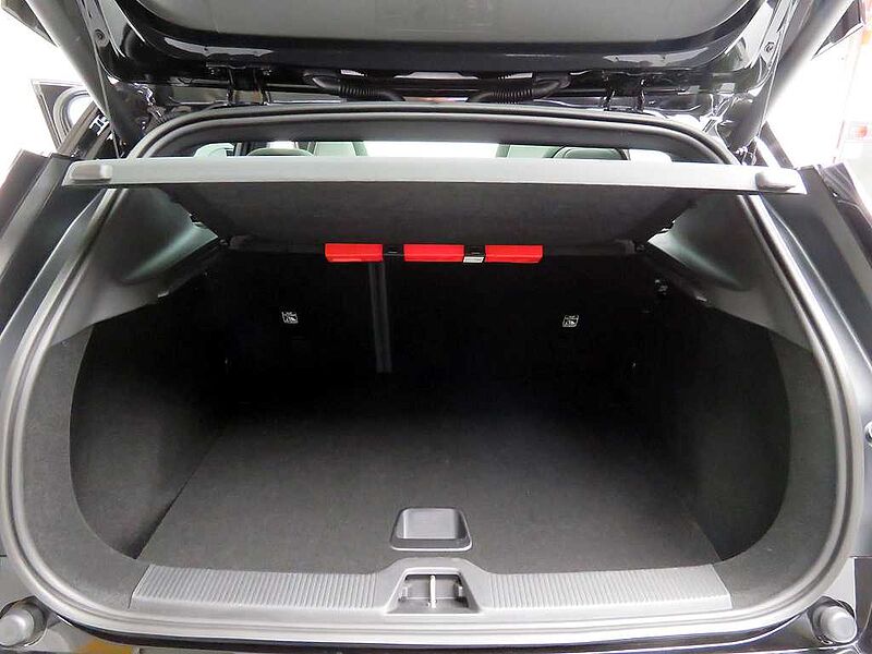 Volvo  Ultra, Twin Motor Performance, 순수 전기